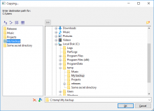 Custom directory chooser window